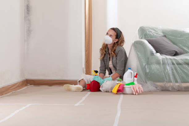 Reliable Crawl Space Mold Removal contractor in Confluence, PA by WQB Mold Removal